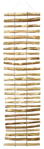 Spaljeé Hassel, 0.5 x 2.0 m